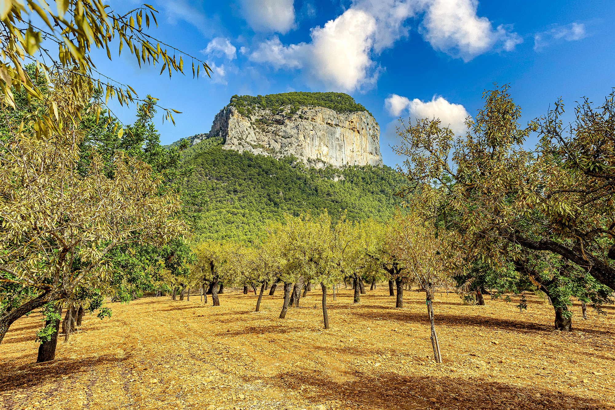 Bunyola Mallorca Spain