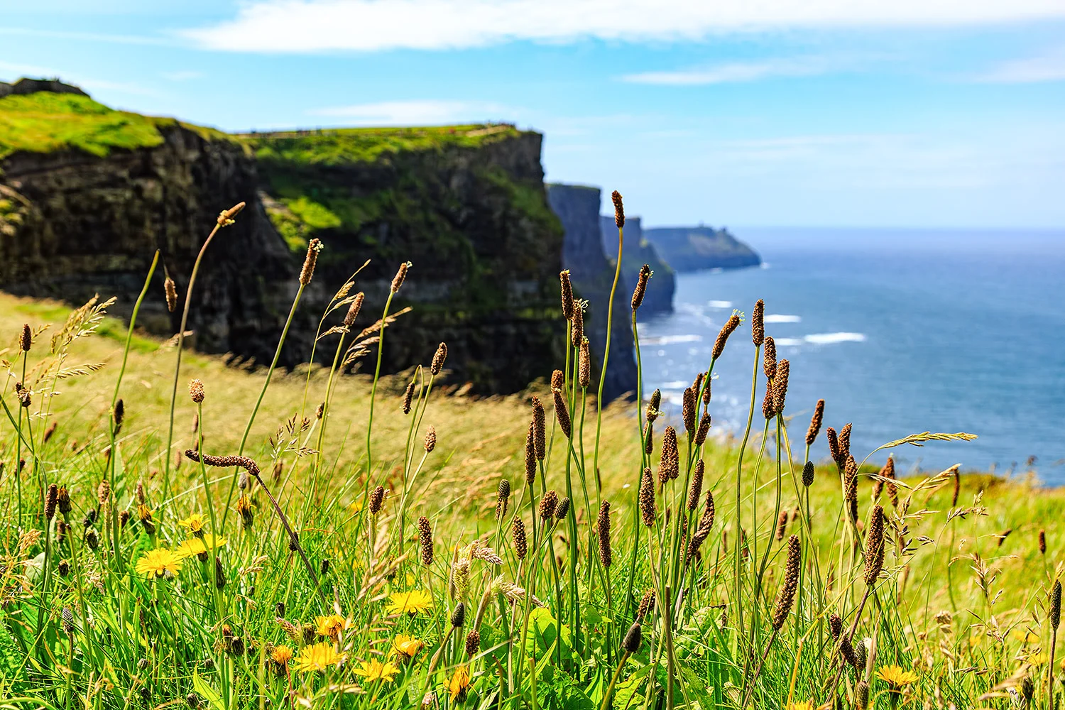 Cliffs-of-Moher-Ireland