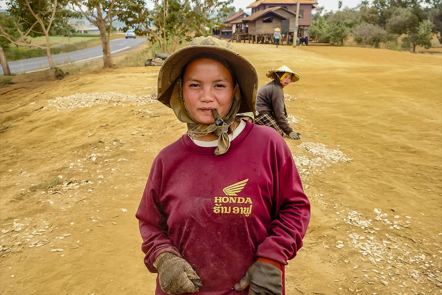female-worker-manioc-pakxong
