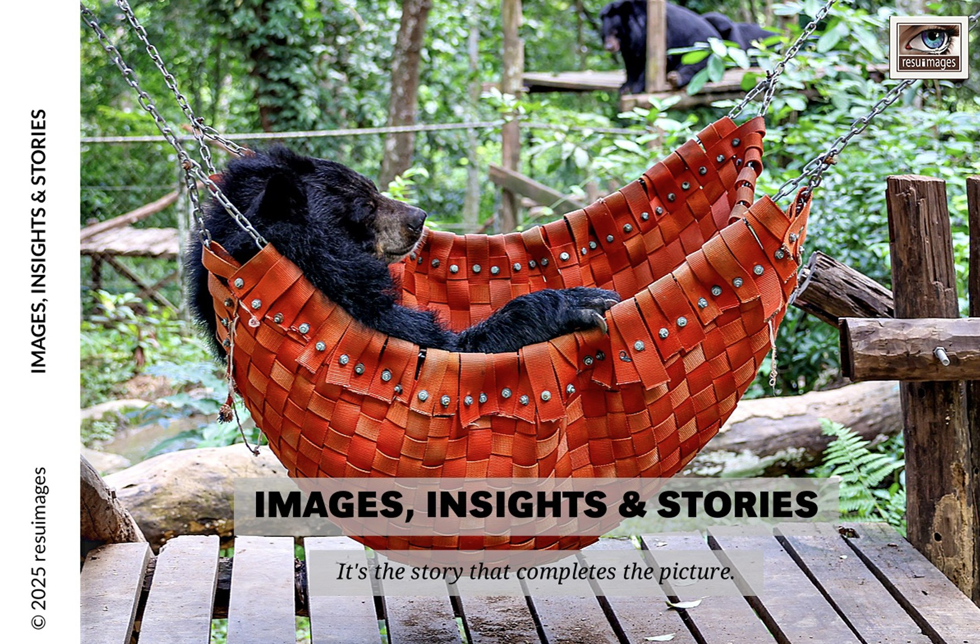 Photo Book - Images, Insides & Stories