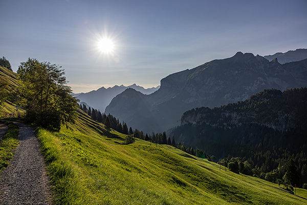 Gitschenen, Swiss