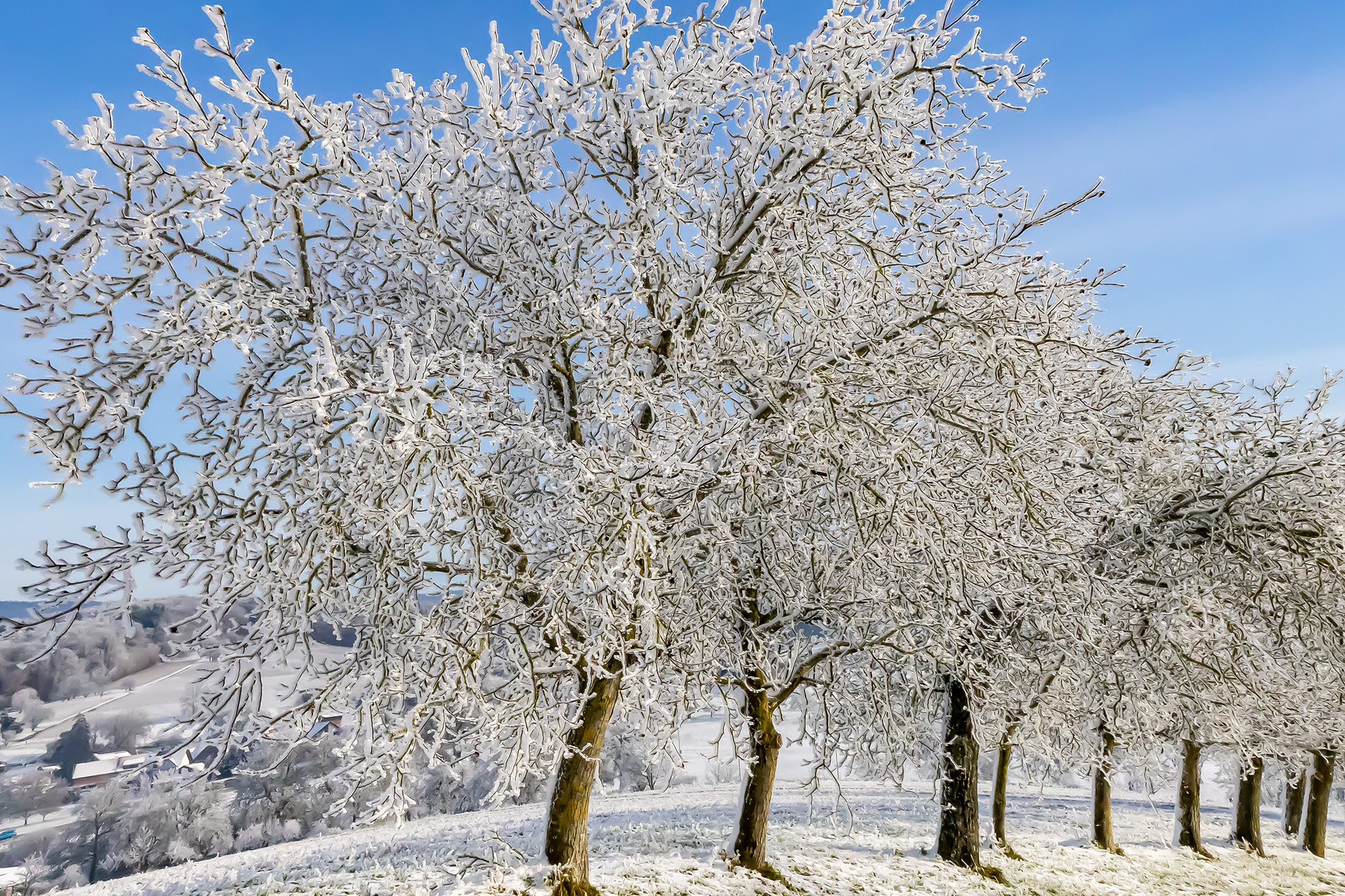 Hertingen Baden Germany