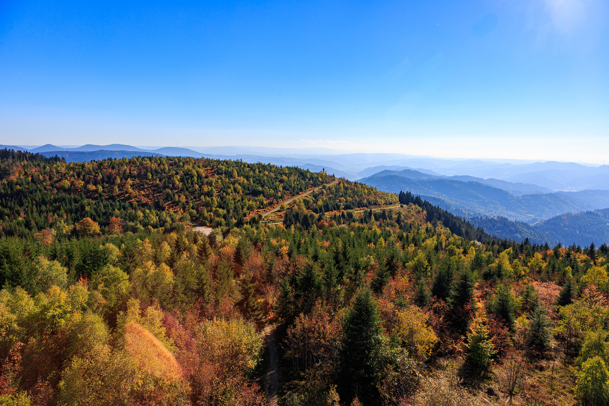 Mooskopf Black Forest