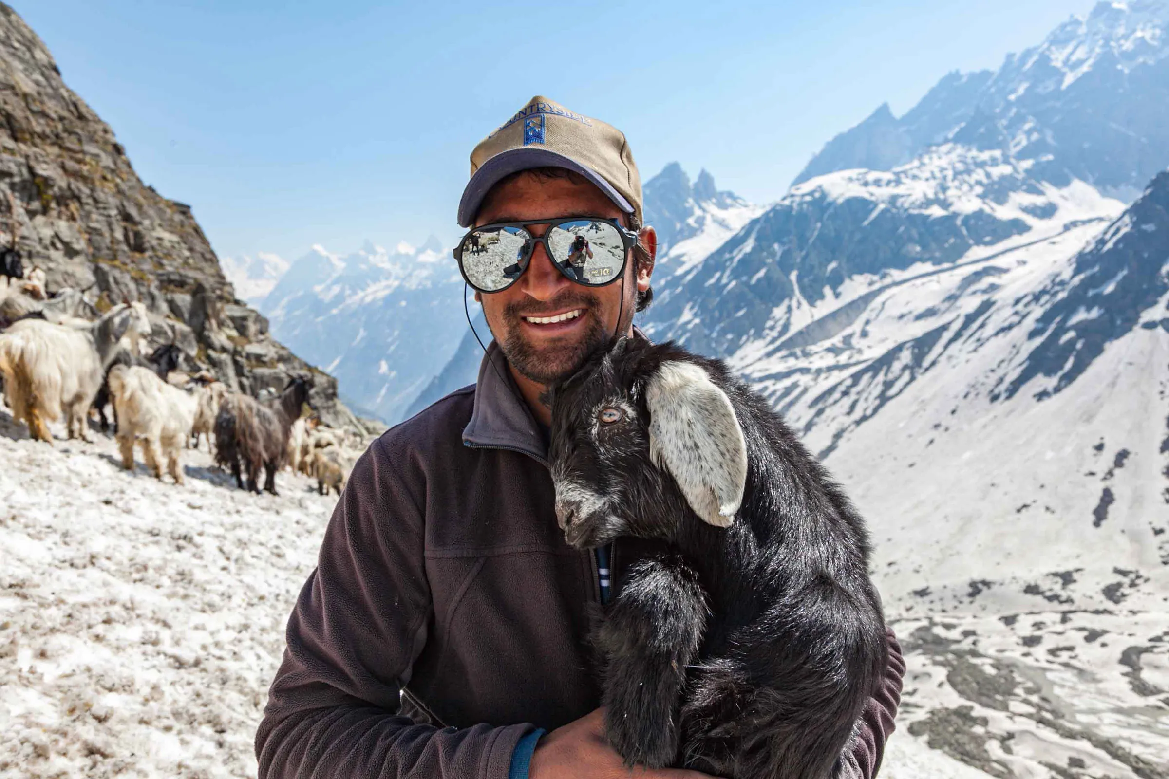Shepherd-Goat-Hampta-Pass-Keylang-Himalaya-Himachal-Pradesh